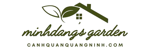 Minh Đăng's Garden